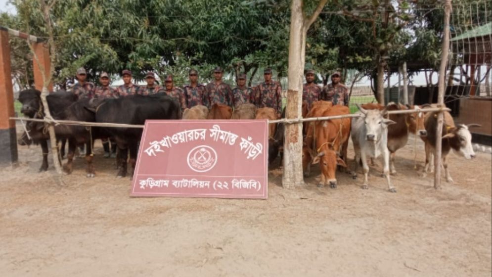 কুড়িগ্রামে বিজিবির অভিযানে ৪৬ লাখ টাকার চোরাচালান পণ্য জব্দ