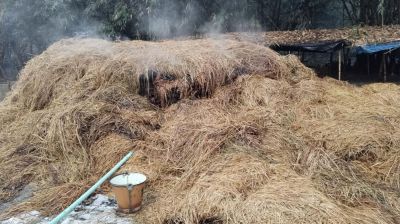 শেরপুরে আগুনে পুড়ল ১০–১২ বিঘা জমির ধানের খড়