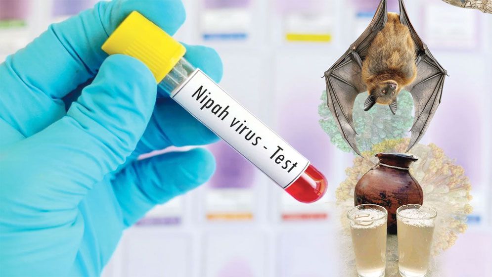 বাংলাদেশে নিপাহ ভাইরাসে মৃত্যুর খবর নিশ্চিত করল ডব্লিউএইচও, সতর্কতা জারি