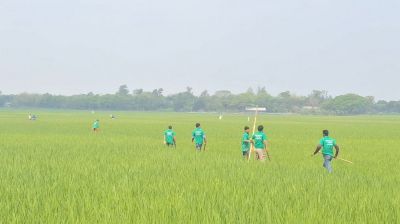 পাকুন্দিয়ায় খাল খনন কর্মসূচি ঘিরে বিএনপির দুই পক্ষের ধাওয়া-পাল্টা ধাওয়া