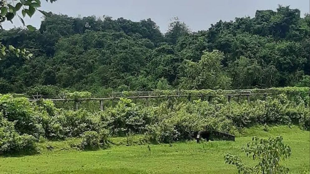 মাইন বিস্ফোরণে উড়ে গেল যুবকের পা
