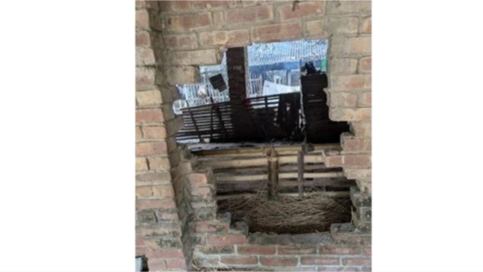 শেরপুরে গভীর রাতে গোয়ালঘর ভেঙে ৬ গরু চুরি, সর্বস্বান্ত কৃষক