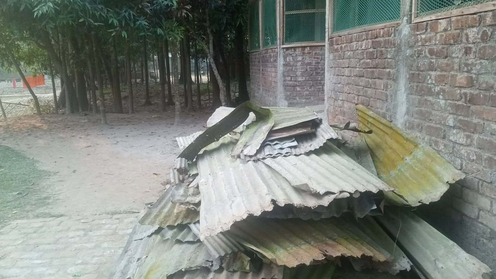 জামিনে বেরিয়ে ফের দখলচেষ্টা, মুক্তিযোদ্ধা পরিবারের ওপর হামলার হুমকি