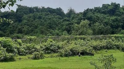 মাইন বিস্ফোরণে উড়ে গেল যুবকের পা