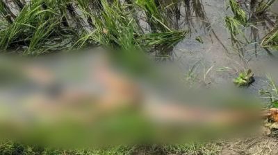 বগুড়ায় নদী থেকে অজ্ঞাত নারীর অর্ধগলিত মরদেহ উদ্ধার