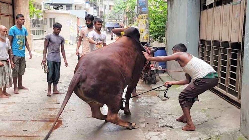 ঈদের দ্বিতীয় দিনেও চলছে পশু কোরবানি