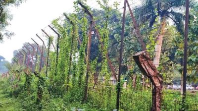 বিএসএফের গুলিতে বাংলাদেশি নিহত