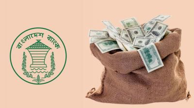 কোরবানির আগে চাঙ্গা রেমিট্যান্স, ২০ দিনে এলো ৩২ হাজার কোটি টাকা