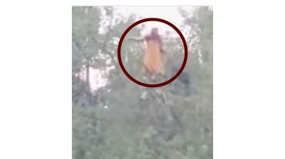 গাছের মগডালে রাতভর ‘নিখোঁজ’ নারী: কৌতূহল, আতঙ্কে সরগরম কুড়িগ্রাম