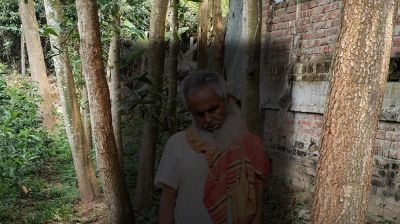 শেরপুরে নিঃসঙ্গ বৃদ্ধের আত্মহত্যা, ইউক্যালিপ্টাস গাছে ঝুলন্ত মরদেহ উদ্ধার