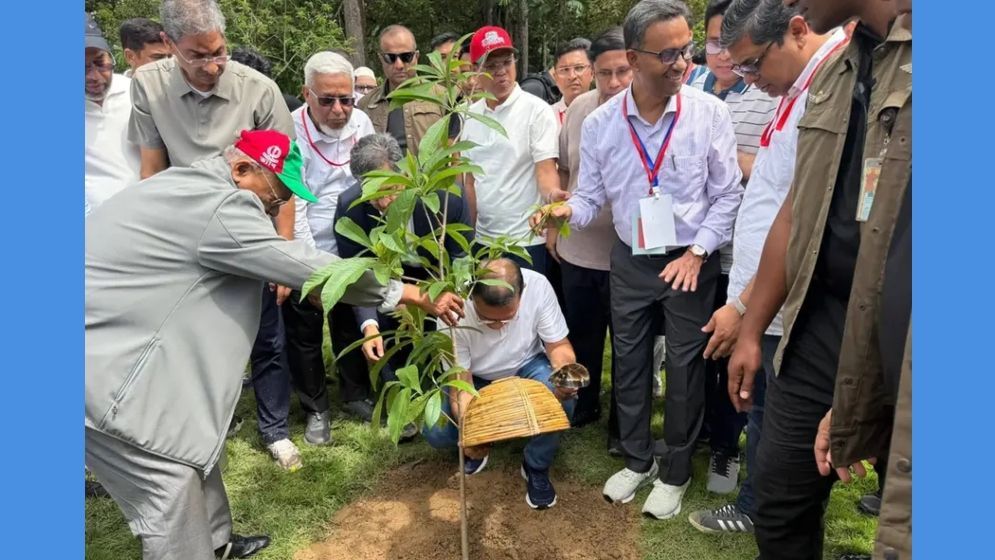 দেশব্যাপী ২৫ কোটি বৃক্ষরোপণ কর্মসূচির উদ্বোধন করলেন প্রধানমন্ত্রী