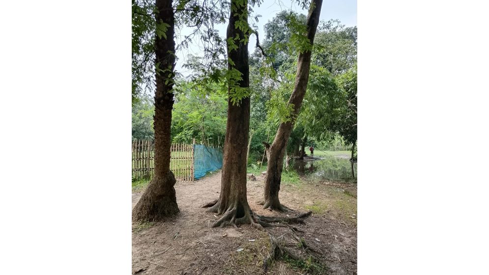 শেরপুরের বিশ্বা-তিরাইল সড়কে মাদকসেবীদের আড্ডা, আতঙ্কে এলাকাবাসী
