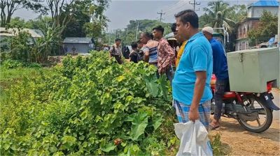সড়কের পাশে মিলল বাক্সবন্দি নবজাতকের মরদেহ