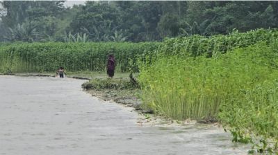 তিস্তার পানি বিপৎসীমার ওপরে, নিম্নাঞ্চলে বন্যার শঙ্কা