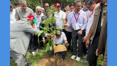 দেশব্যাপী ২৫ কোটি বৃক্ষরোপণ কর্মসূচির উদ্বোধন করলেন প্রধানমন্ত্রী