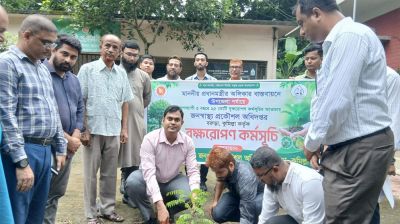 বরুড়ায় জনস্বাস্থ্য প্রকৌশল অধিদপ্তরের বৃক্ষরোপণ কর্মসূচির উদ্বোধন