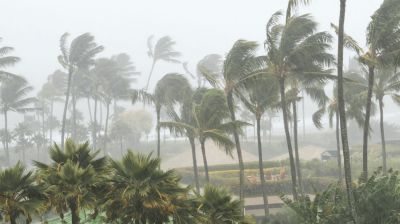 রাত ১টার মধ্যে ৬০ কিলোমিটার বেগে ঝড়ের আভাস
