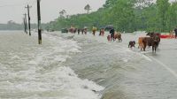 উত্তর ও উত্তর-পূর্বাঞ্চলে ১০ জেলায় বন্যার আশঙ্কা