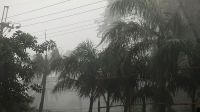 রাত ১টার মধ্যে ৮ জেলায় ঝড়-বৃষ্টির আভাস
