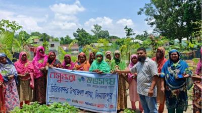চিরিরবন্দরে বসুন্ধরা শুভসংঘের উদ্যোগে সবজির চারা বিতরণ