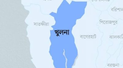 পাইকগাছায় তুচ্ছ ঘটনায় প্রতিবন্ধী বৃদ্ধার মাথায় আঘাত, থানায় অভিযোগ