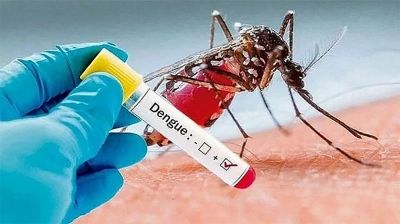 ২৪ ঘণ্টায় ডেঙ্গুতে আরও ৪ জনের মৃত্যু, আক্রান্ত ১১৬৩