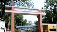 ঝিনাইদহে ঘাস কাটার মেশিনে বিদ্যুৎস্পৃষ্টে স্বামী-স্ত্রীর মৃত্যু