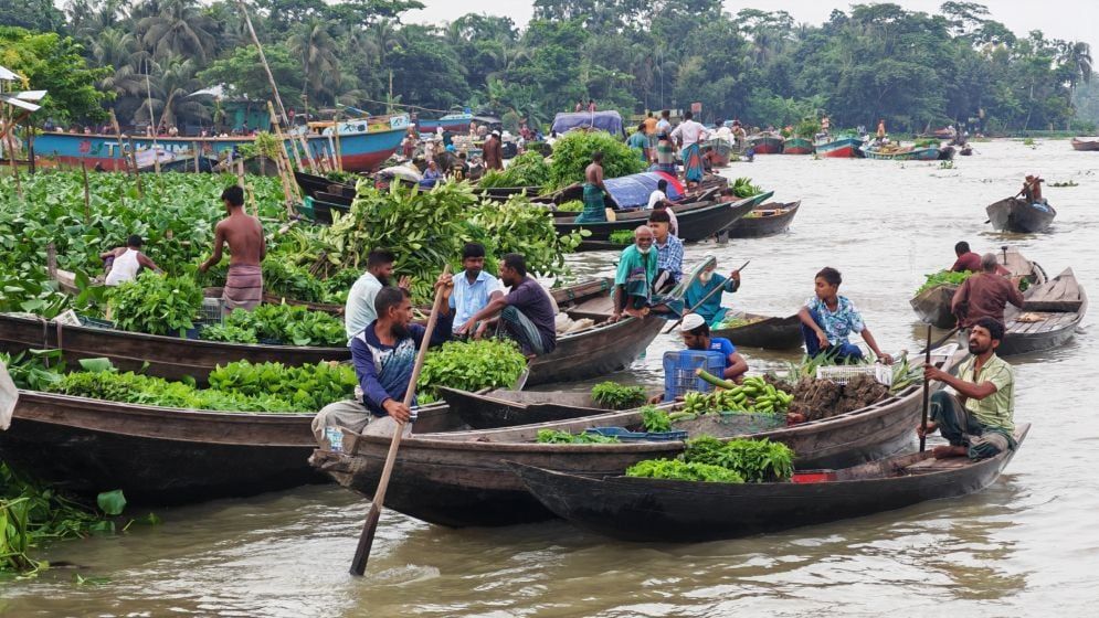 ভাসমান সবজির হাটে নৌকা বোঝাই শাপলা বিক্রি