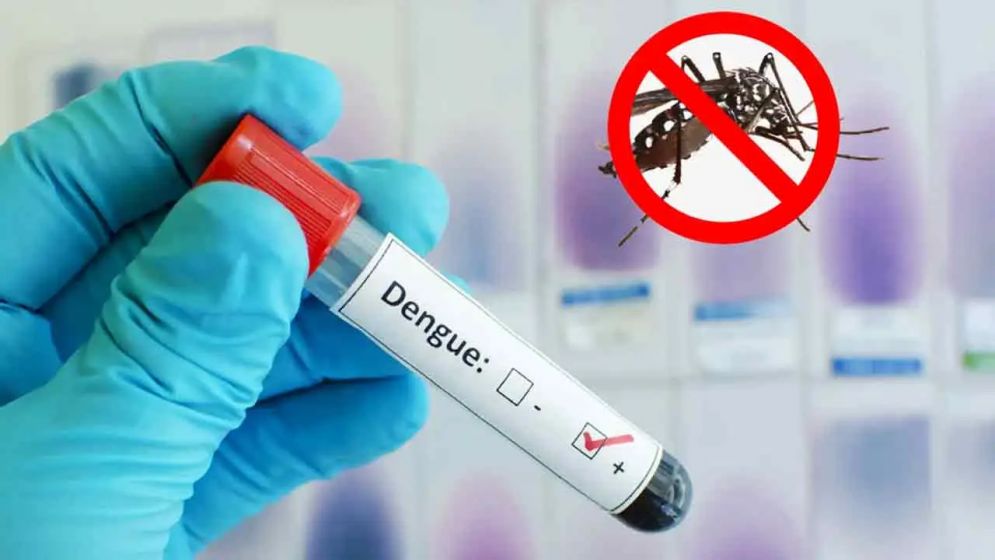 ডেঙ্গুতে আরও ৪ জনের মৃত্যু