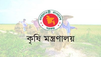 সার নিয়ে নতুন সিদ্ধান্ত কৃষি মন্ত্রণালয়ের