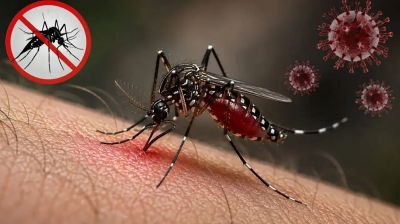 ২৪ ঘণ্টায় ডেঙ্গুতে আরও ৬ মৃত্যু, হাসপাতালে ভর্তি ১৮৮৬