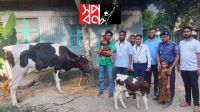 রাস্তায় ফেলে যাওয়া দুই শিশুর পাশে স্বপ্ন