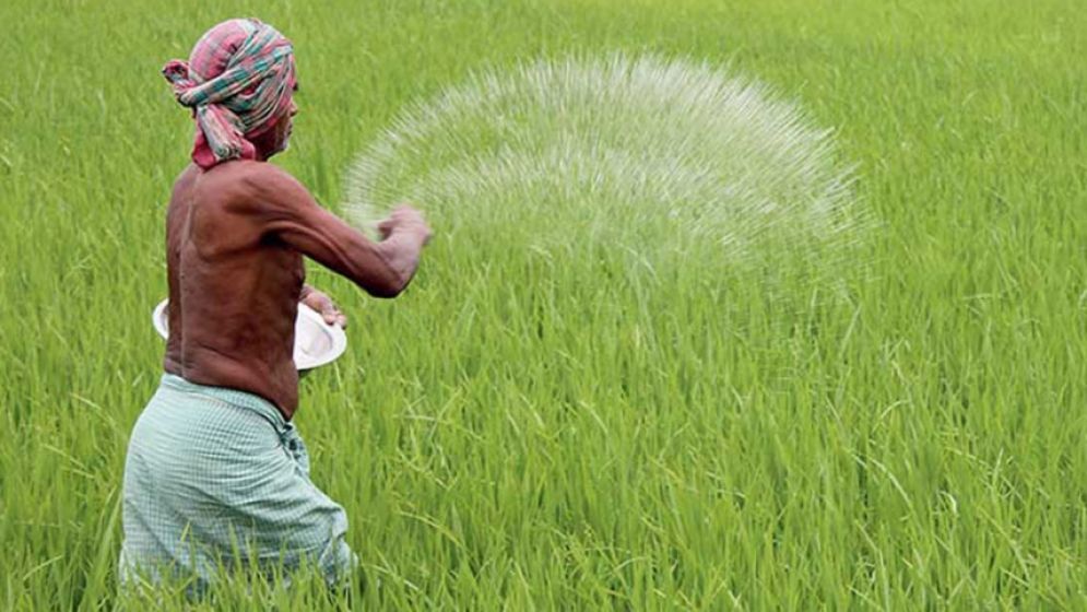 সারে ভর্তুকির অর্ধেকই যাচ্ছে বড় কৃষকদের কাছে
